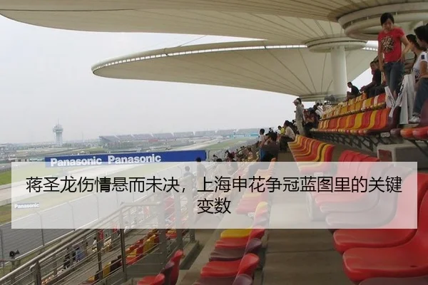 蒋圣龙伤情悬而未决，上海申花争冠蓝图里的关键变数